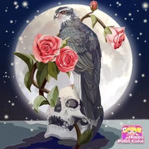 Meet your Posher, Diane